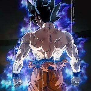 Meet your Posher, Mooshi